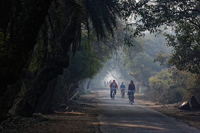 Keoladeo national park-088
